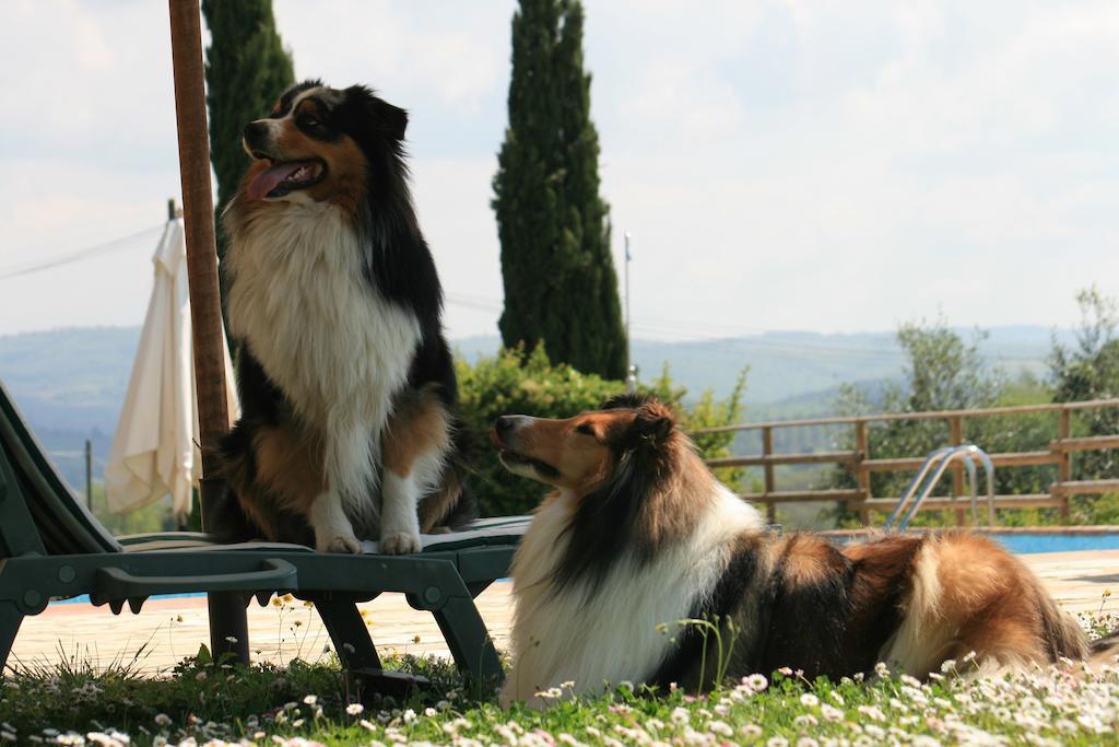 Agriturismo Il Torrione * Poggibonsi